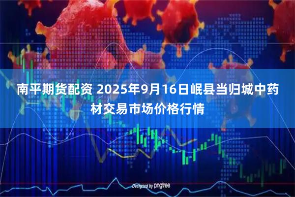 南平期货配资 2025年9月16日岷县当归城中药材交易市场价格行情