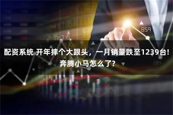 配资系统 开年摔个大跟头，一月销量跌至1239台! 奔腾小马怎么了?
