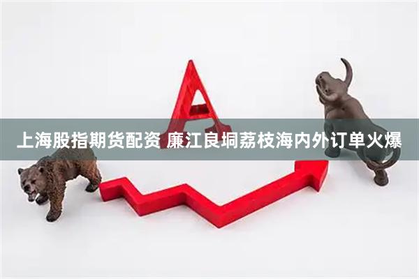 上海股指期货配资 廉江良垌荔枝海内外订单火爆